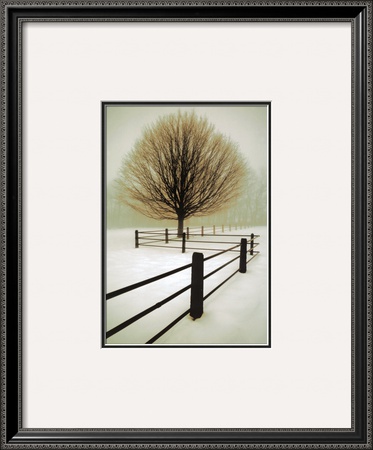 Solitude Framed Print Solitude Framed Print
