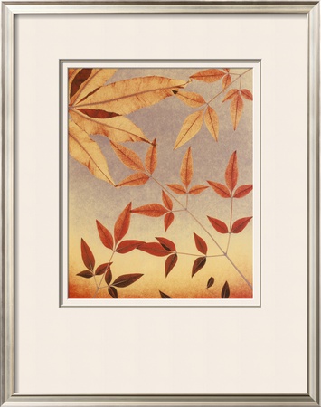 Collage II Framed Print Collage II Framed Print