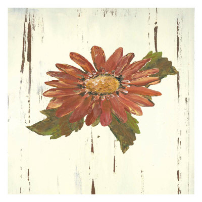 Red Daisy I Print Red Daisy I Print