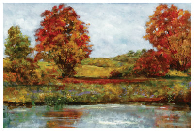 Meadow Reflections Print Meadow Reflections Print