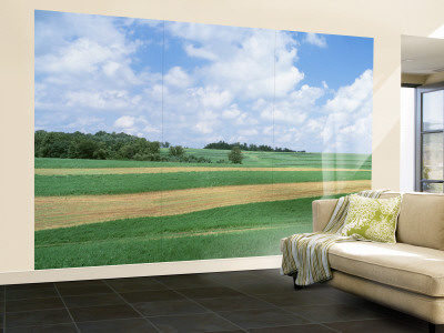 Barn in a Field, Wisconsin, USA Wall Mural – Large Barn in a Field, Wisconsin, USA Wall Mural – Large