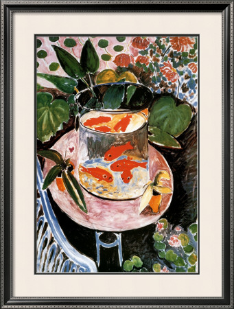 Goldfish Framed Print Goldfish Framed Print