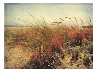 Sand Dunes II Giclee Print Sand Dunes II Giclee Print