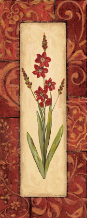 Vintage Crimson II Print Vintage Crimson II Print