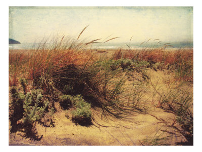 Sand Dunes I Giclee Print Sand Dunes I Giclee Print