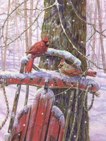 Red Sled with Cardinals Print Red Sled with Cardinals Print