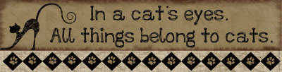In A Cat's Eyes Print In A Cat's Eyes Print