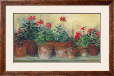 Kathleen's Geraniums Framed Print Kathleen's Geraniums Framed Print