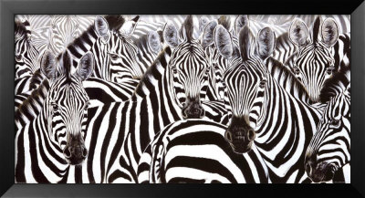 Who Is Who Framed Print Who Is Who Framed Print