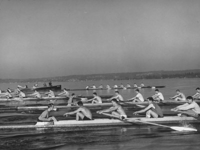 Washington Univ. Rowing Team Practicing on Lake Washington Stretched Canvas Print