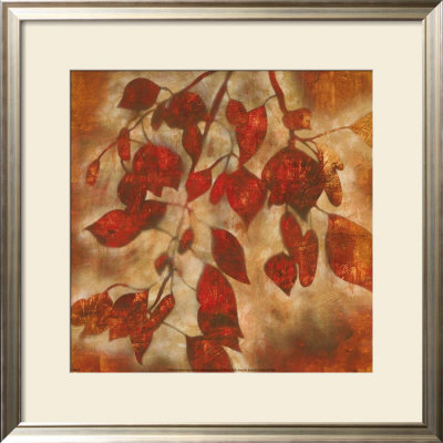 Organic Harmony I Framed Print Organic Harmony I Framed Print