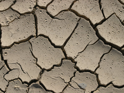 Imprints in Desert Soil,