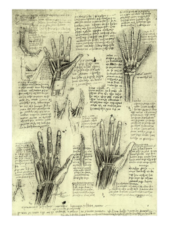Functions of Human Hand Giclee Print Functions of Human Hand Giclee Print