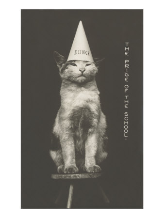 how to make cat in hat hat. how-to-make-a-dunce-cap