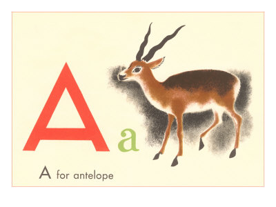 A is for Antelope Stretched Canvas Print A is for Antelope Stretched Canvas Print