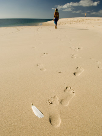 beach sand footprints. Woman Walks on a Beach Leaving