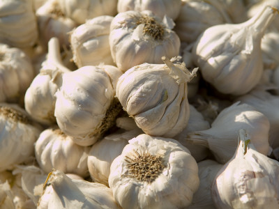 http://cache2.artprintimages.com/p/LRG/38/3884/26XJF00Z/art-print/abraham-nowitz-pile-of-garlic-for-sale-at-a-colaba-market.jpg