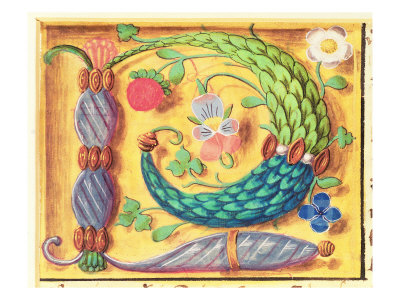 illuminated letter m. Illuminated letter `P#39;