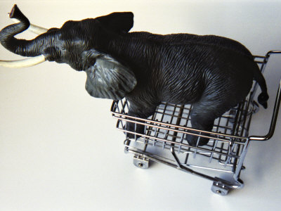 Toy Elephant in Toy Supermarket Cart Stretched Canvas Print