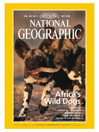 www nationalgeographichumangenomeproject