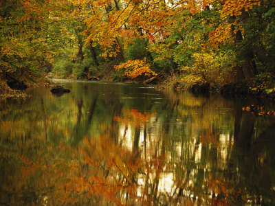 Trees in Fall Colors Reflected in Big Cove Creek Stretched Canvas Print