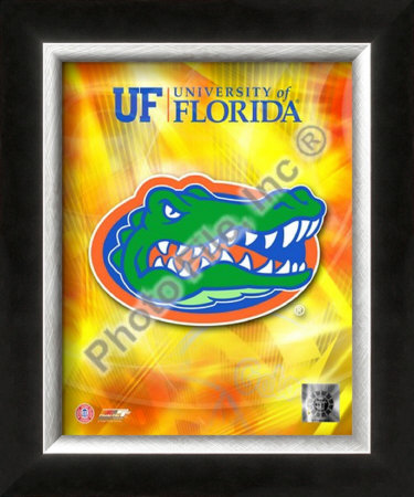 university of florida. University of Florida Gators