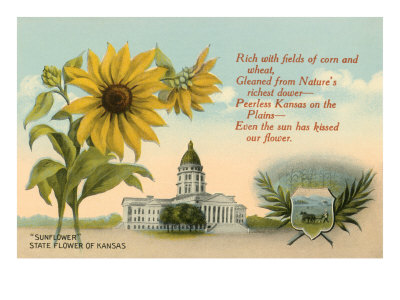 Sunflower, Kansas Capitol, Poem Giclee Print Sunflower, Kansas Capitol, Poem Giclee Print
