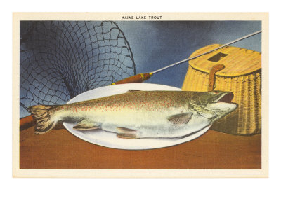 Maine Lake Trout, Maine Giclee Print Maine Lake Trout, Maine Giclee Print