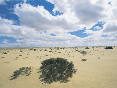 Clouds over an Arid Landscape, Qattara Depression, Libyan Desert ... Clouds over an Arid Landscape, Qattara Depression, Libyan Desert ...
