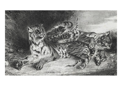 Jeune tigre jouant avec sa mere lithographie 1er état
