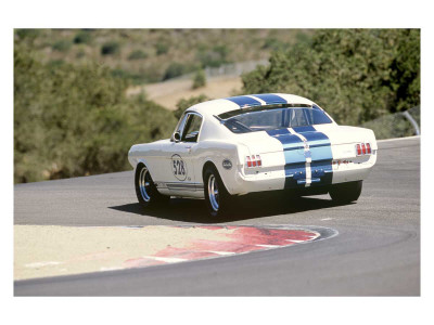 1965 Shelby GT350R Giclee Print 1965 Shelby GT350R Giclee Print