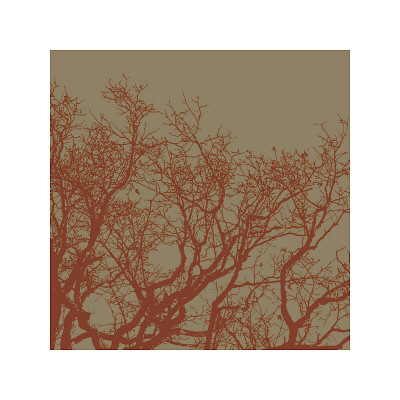 Cinnamon Tree II Giclee Print Cinnamon Tree II Giclee Print