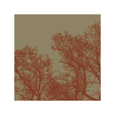 Cinnamon Tree I Giclee Print Cinnamon Tree I Giclee Print