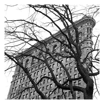 Flatiron with Tree (detail) Giclee Print Flatiron with Tree (detail) Giclee Print