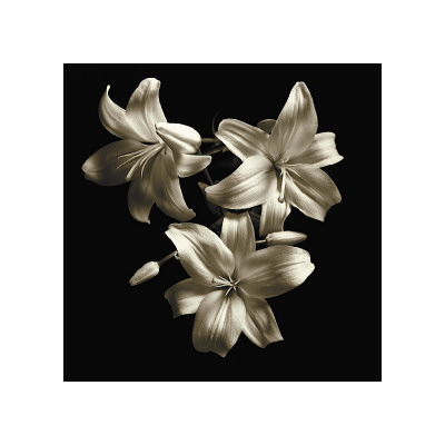 Three Lilies Giclee Print Three Lilies Giclee Print