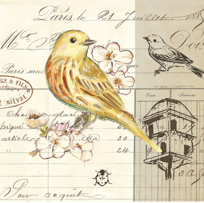 Bird Sketch II Print Bird Sketch II Print