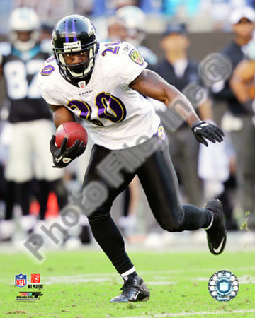 Ed Reed 2010 Action Photograph Ed Reed 2010 Action Photograph