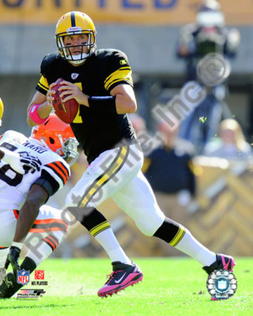 Ben Roethlisberger 2010 Action Photograph Ben Roethlisberger 2010 Action Photograph