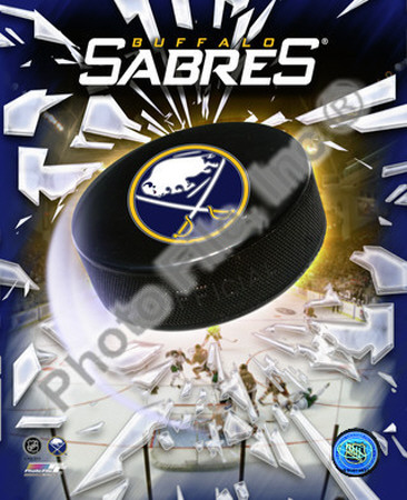 2010-11 Buffalo Sabres Team Logo Photograph 2010-11 Buffalo Sabres Team Logo Photograph