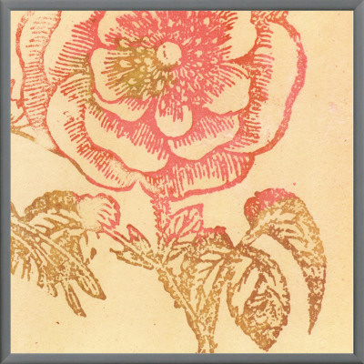 Coral Rose Framed Canvas Print Coral Rose Framed Canvas Print