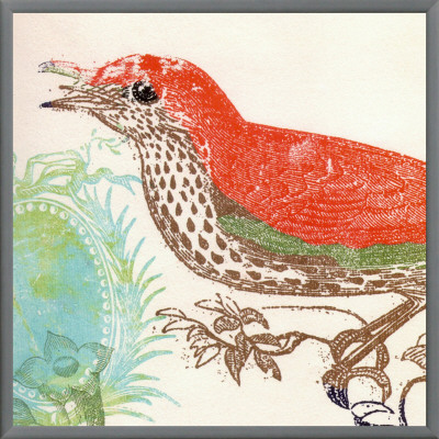 Red Bird Framed Canvas Print Red Bird Framed Canvas Print