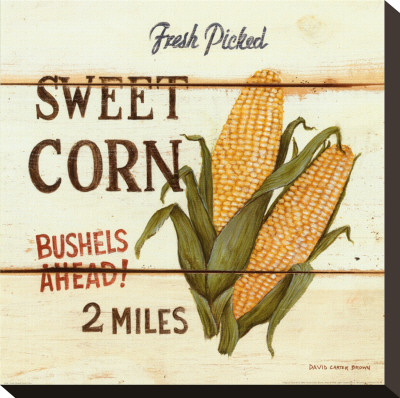 Fresh Picked Sweet Corn Stretched Canvas Print Fresh Picked Sweet Corn Stretched Canvas Print