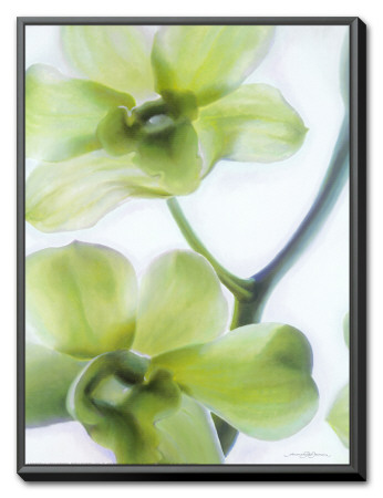 Orchid I Framed Canvas Print Orchid I Framed Canvas Print
