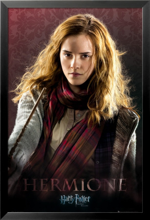 hermione harry potter. Harry Potter and the Deathly