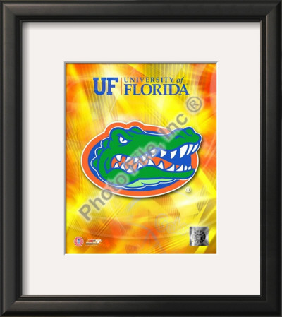 university of florida. University of Florida Gators