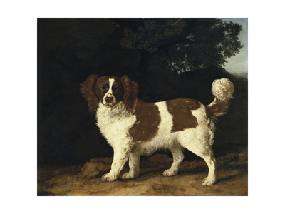 Fanny the Favourite Spaniel of Mrs Musters Standing in a Wooded Landscape 1777