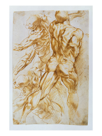 AnatomicalStudiesNudesinCombat