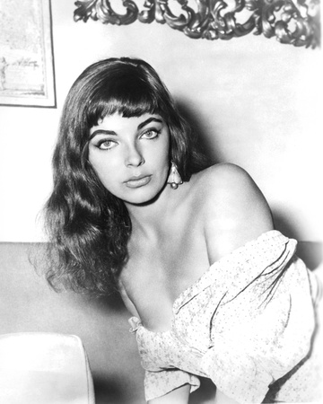 Joan Collins Photograph zoom view in room