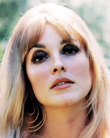 Sharon Tate Photograph zoom view in room