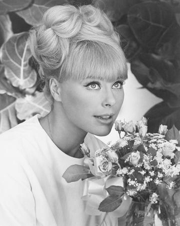 Elke Sommer Photograph zoom view in room